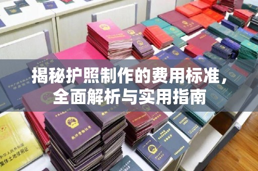凤岗揭秘护照制作的费用标准，全面解析与实用指南