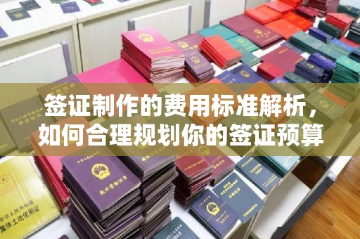 凤岗签证制作的费用标准解析，如何合理规划你的签证预算