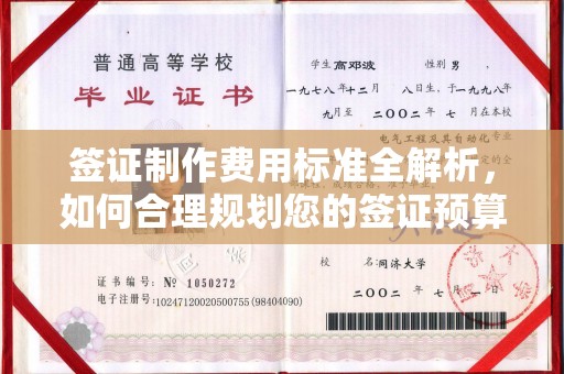 凤岗签证制作费用标准全解析，如何合理规划您的签证预算？